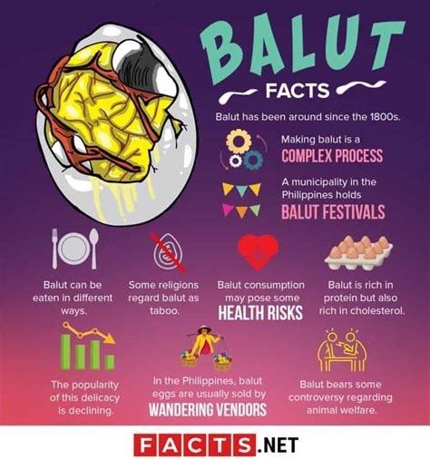 balut benefits and disadvantages|The pros and cons of 'balut' and 'penoy' .